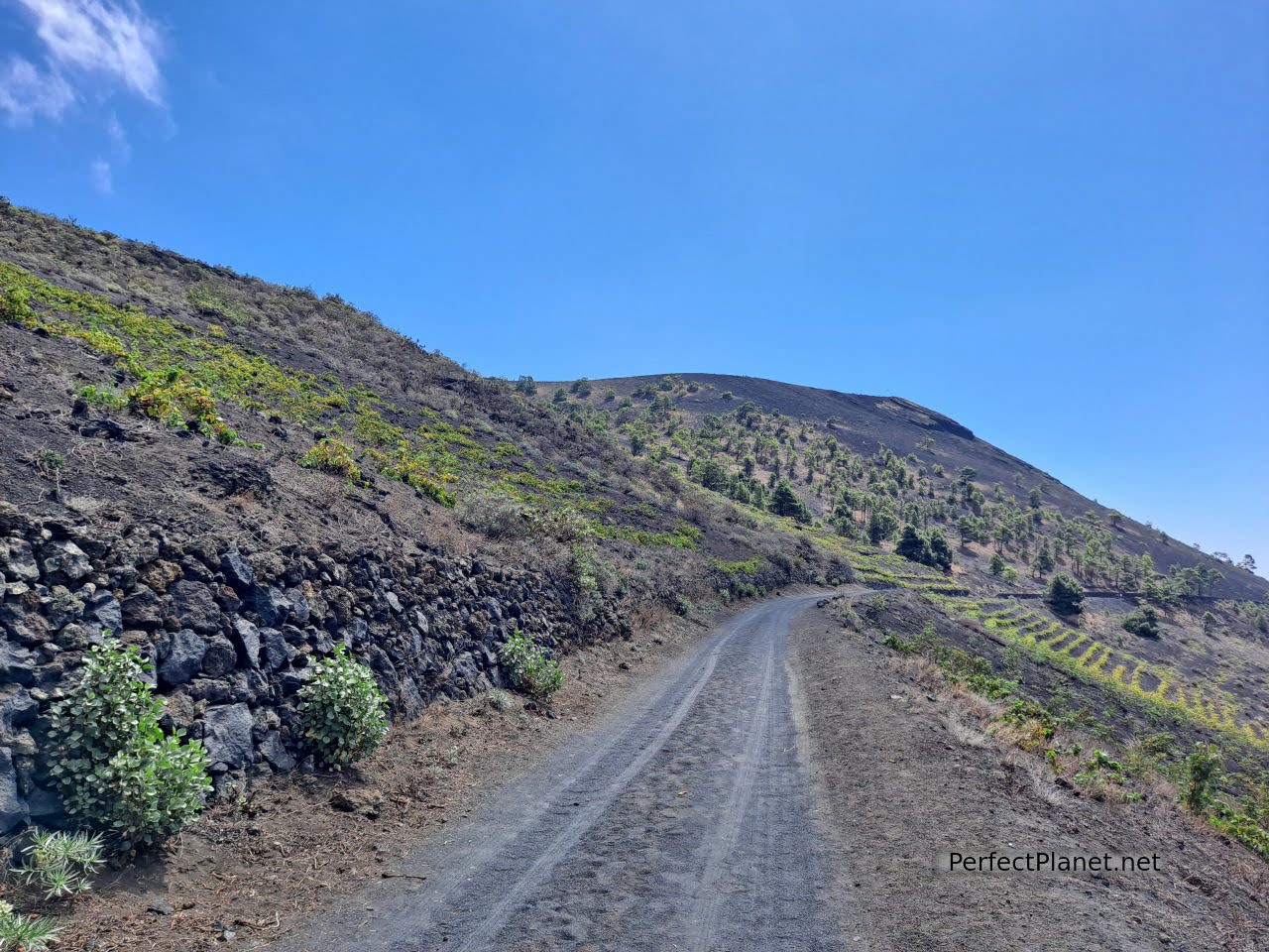 Road to Teneguía volcano Gr131