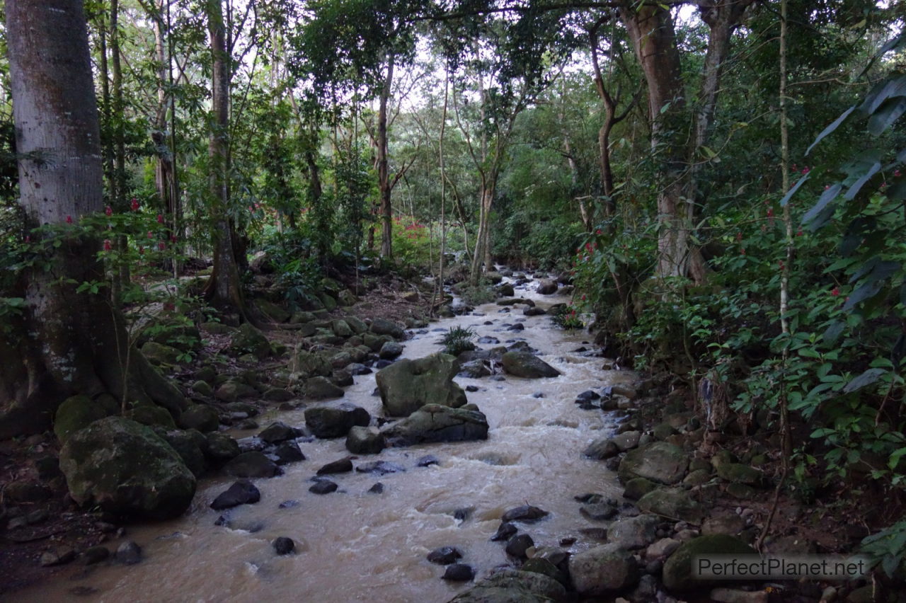 Parque el Gallineral