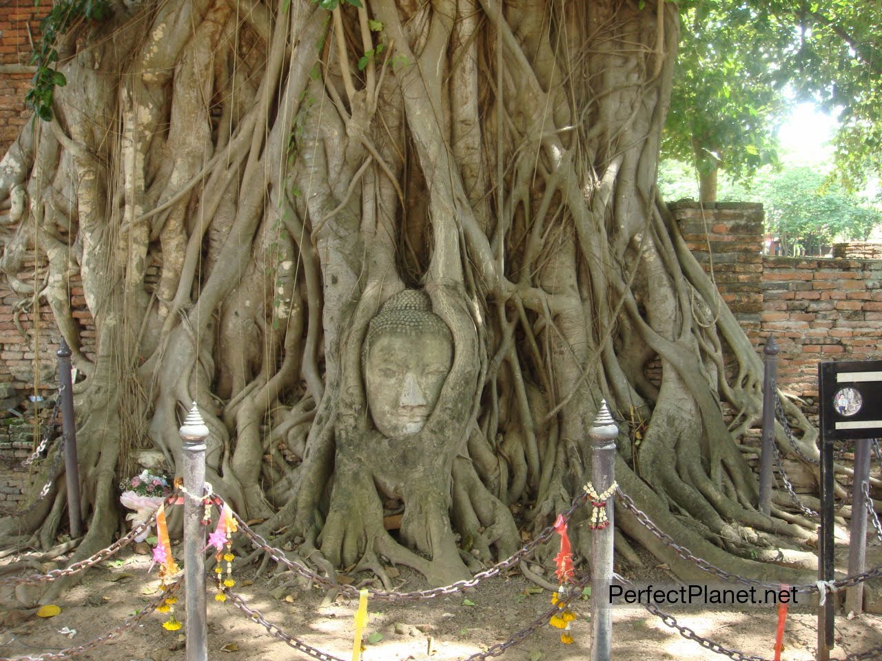 Buda en Wat Phra Mahathat