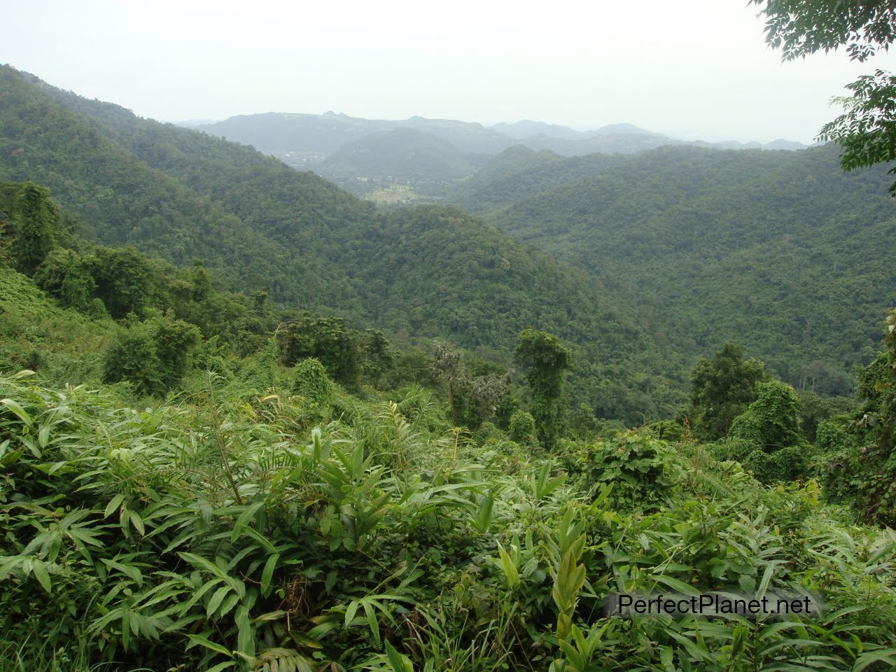 Parque Nacional Khao Yai