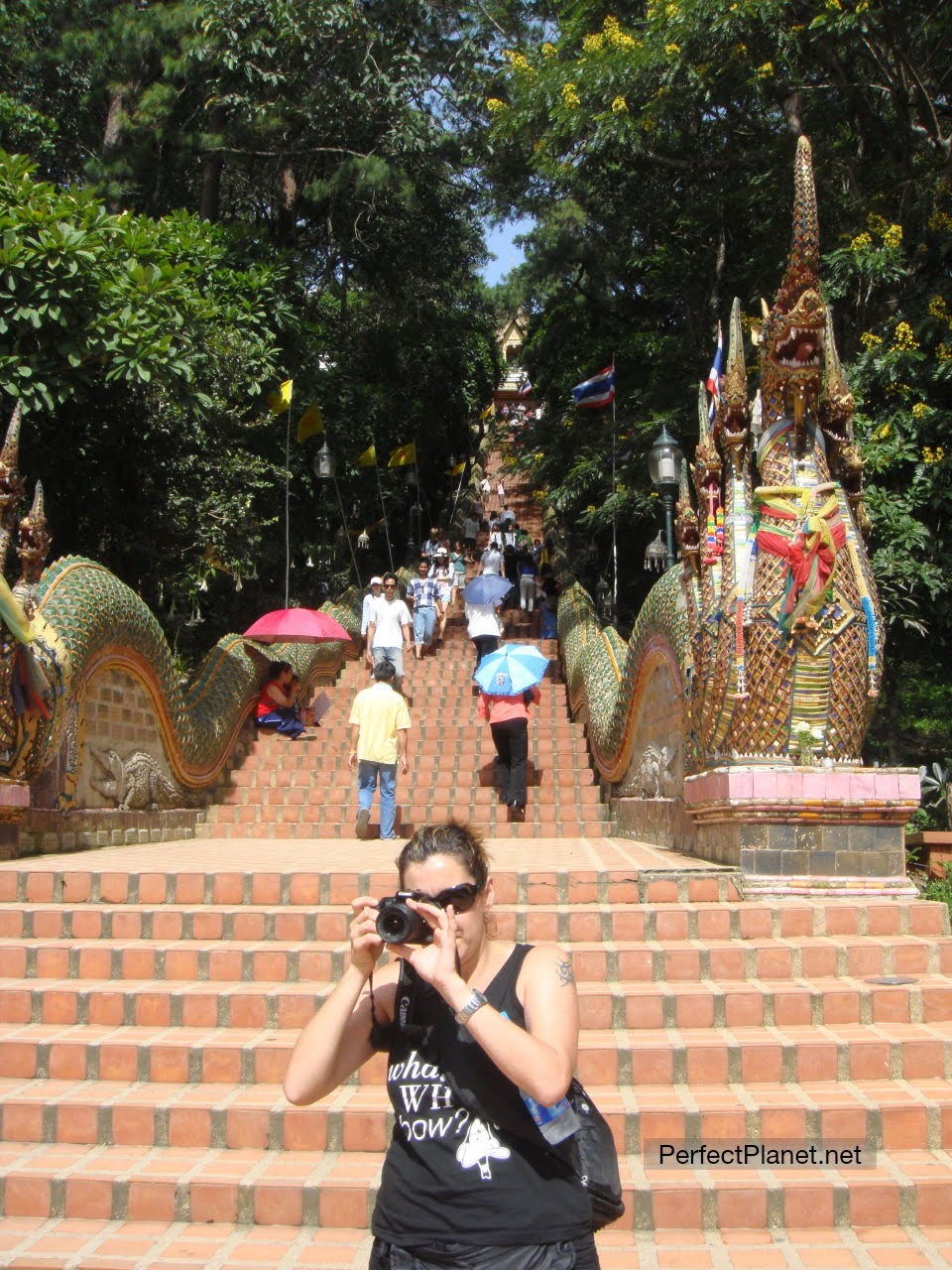 Escaleras a Wat Phra That Doi Suthep
