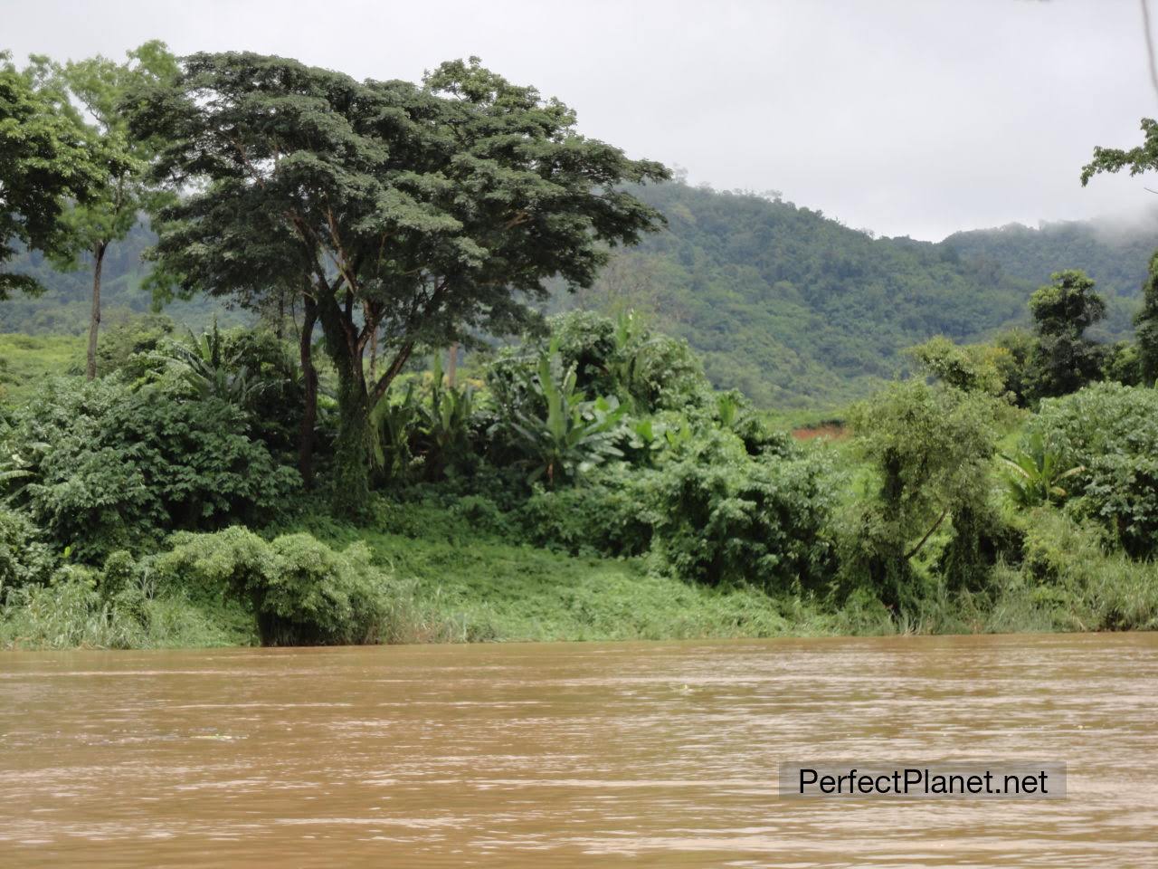 Río Mekong