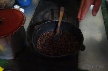 Coffee plantation La Azarcia Salento