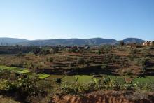Cerca de Fianrantsoa