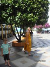 Monje en Wat Phra That Doi Suthep