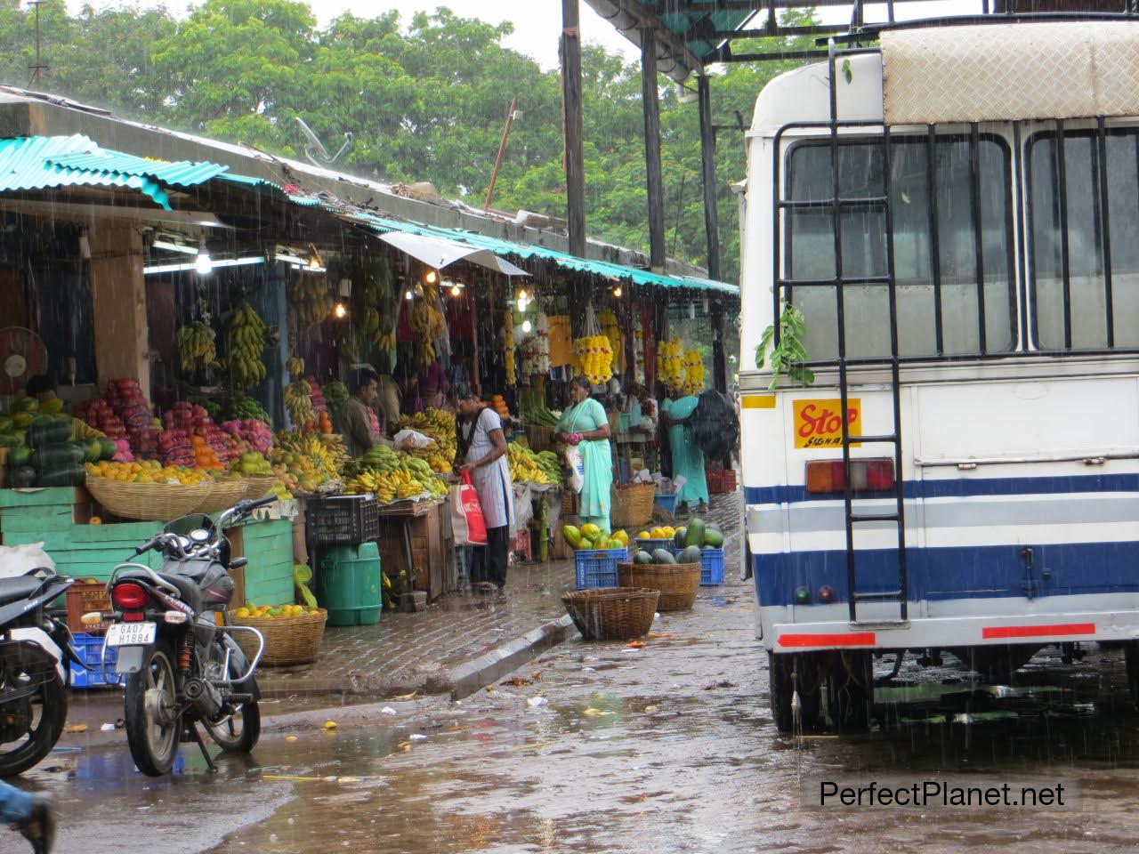 Estación de autobuses de Panjim