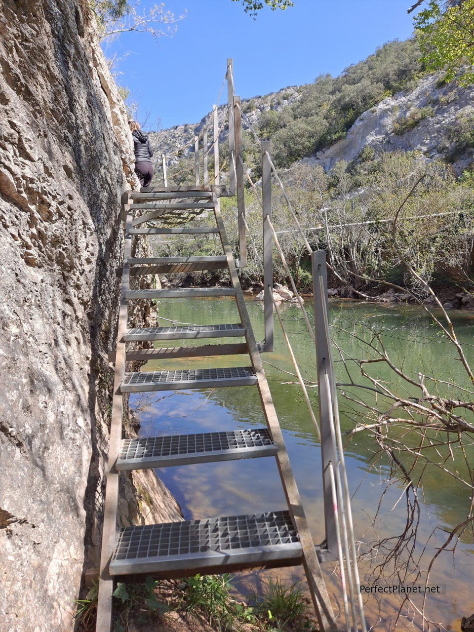 Firs footbridge