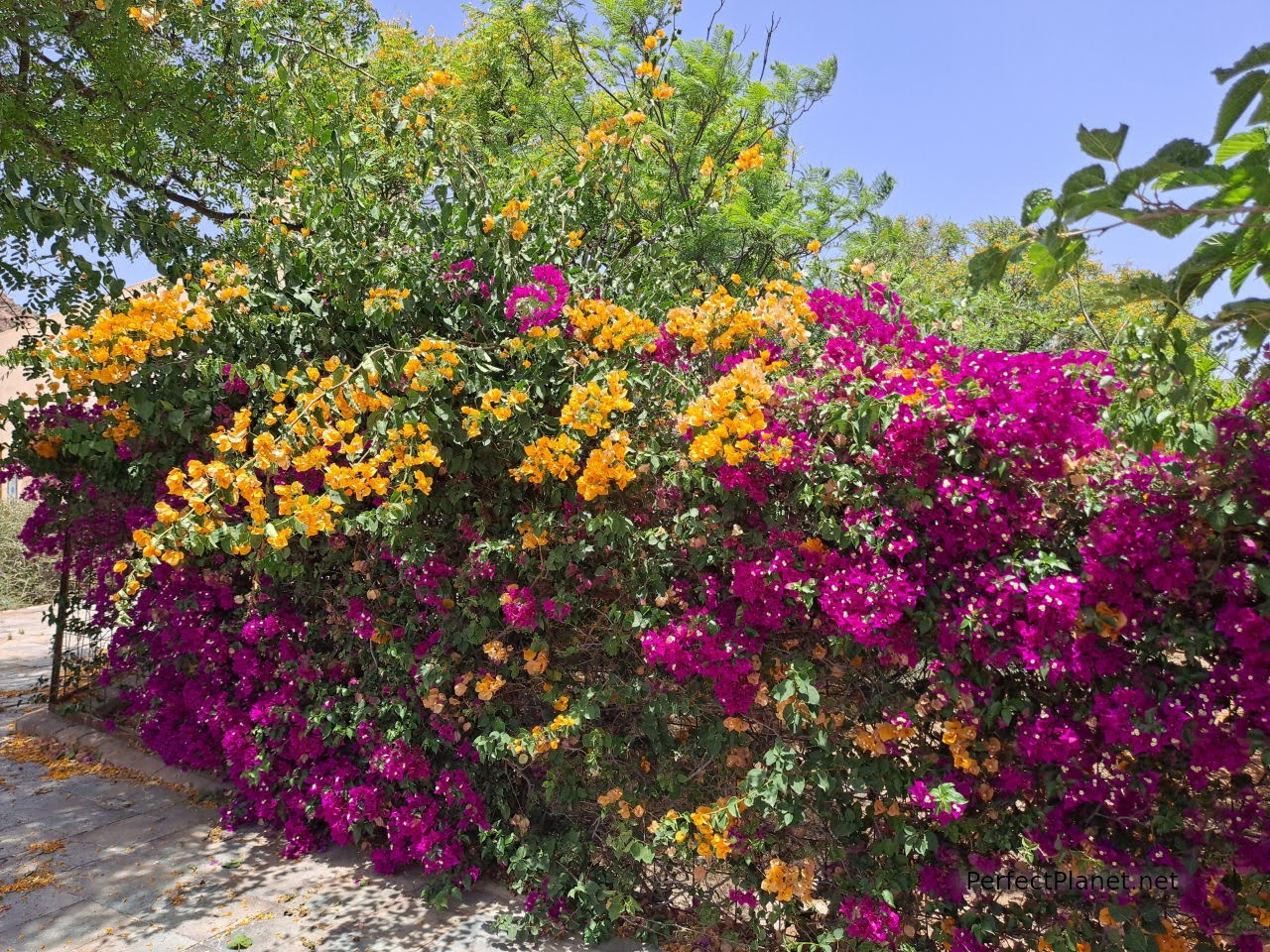 Jardín botánico