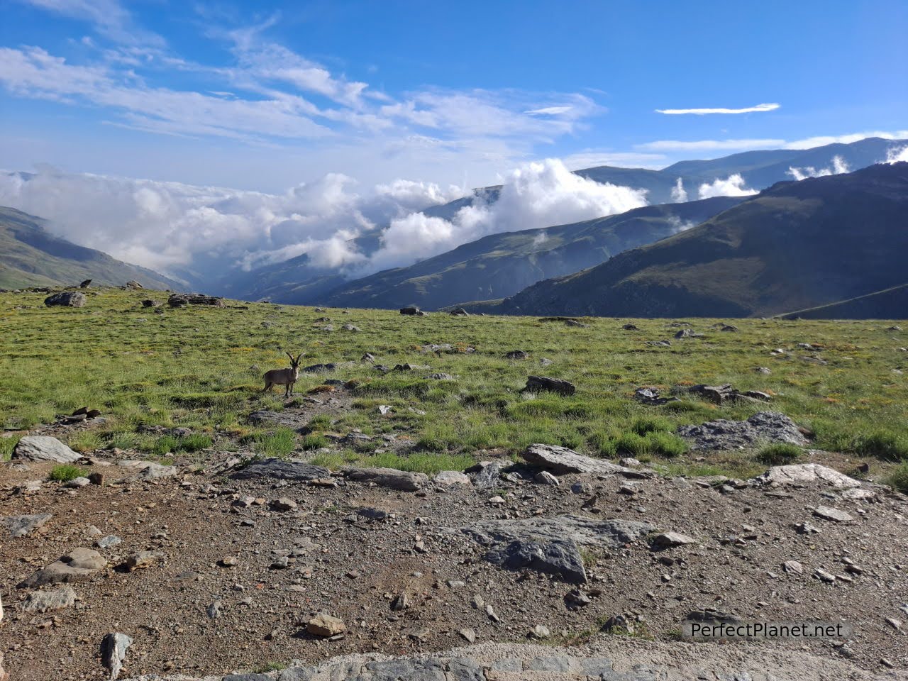 Views from Poqueira refuge