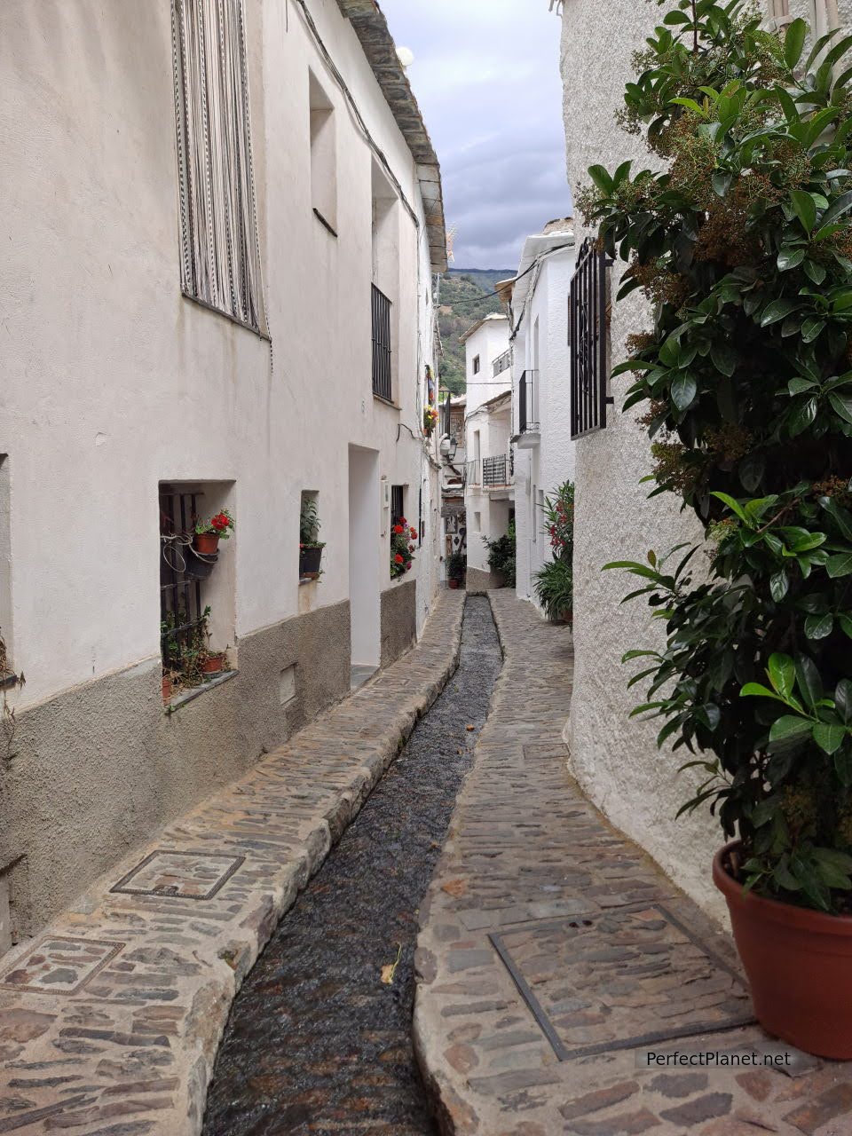 Calle Verónica