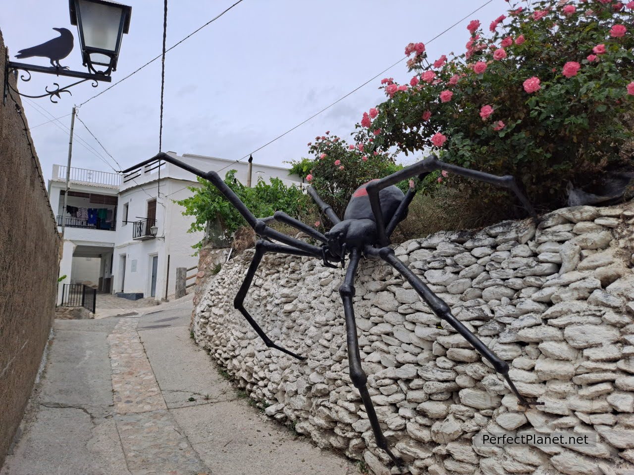 Araña 