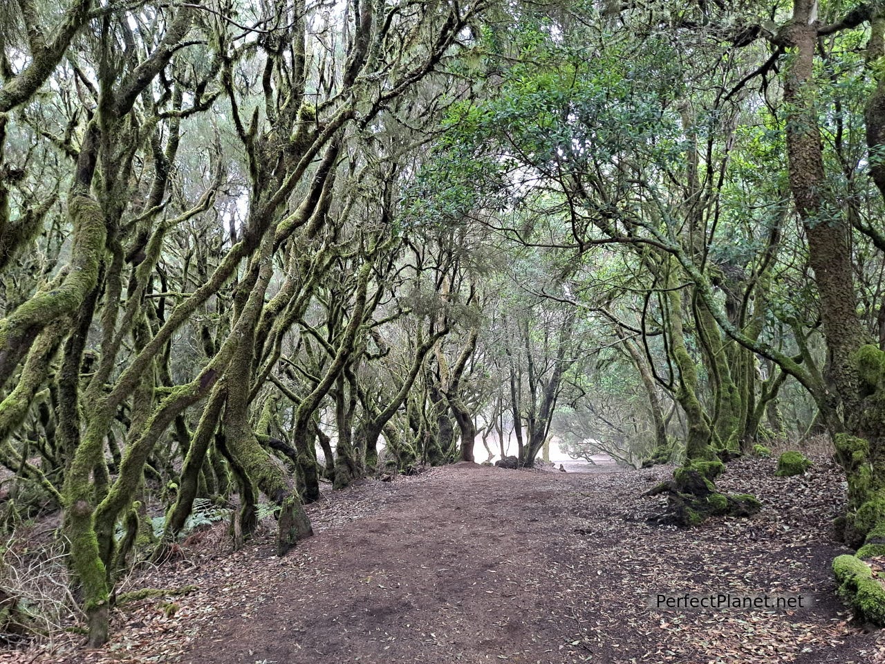 La Llanía route