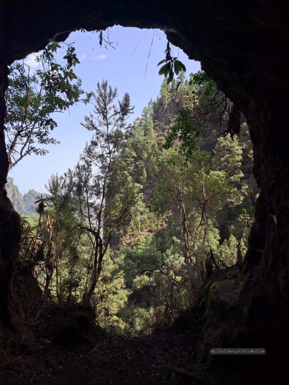 Nacientes de Marcos y Cordero