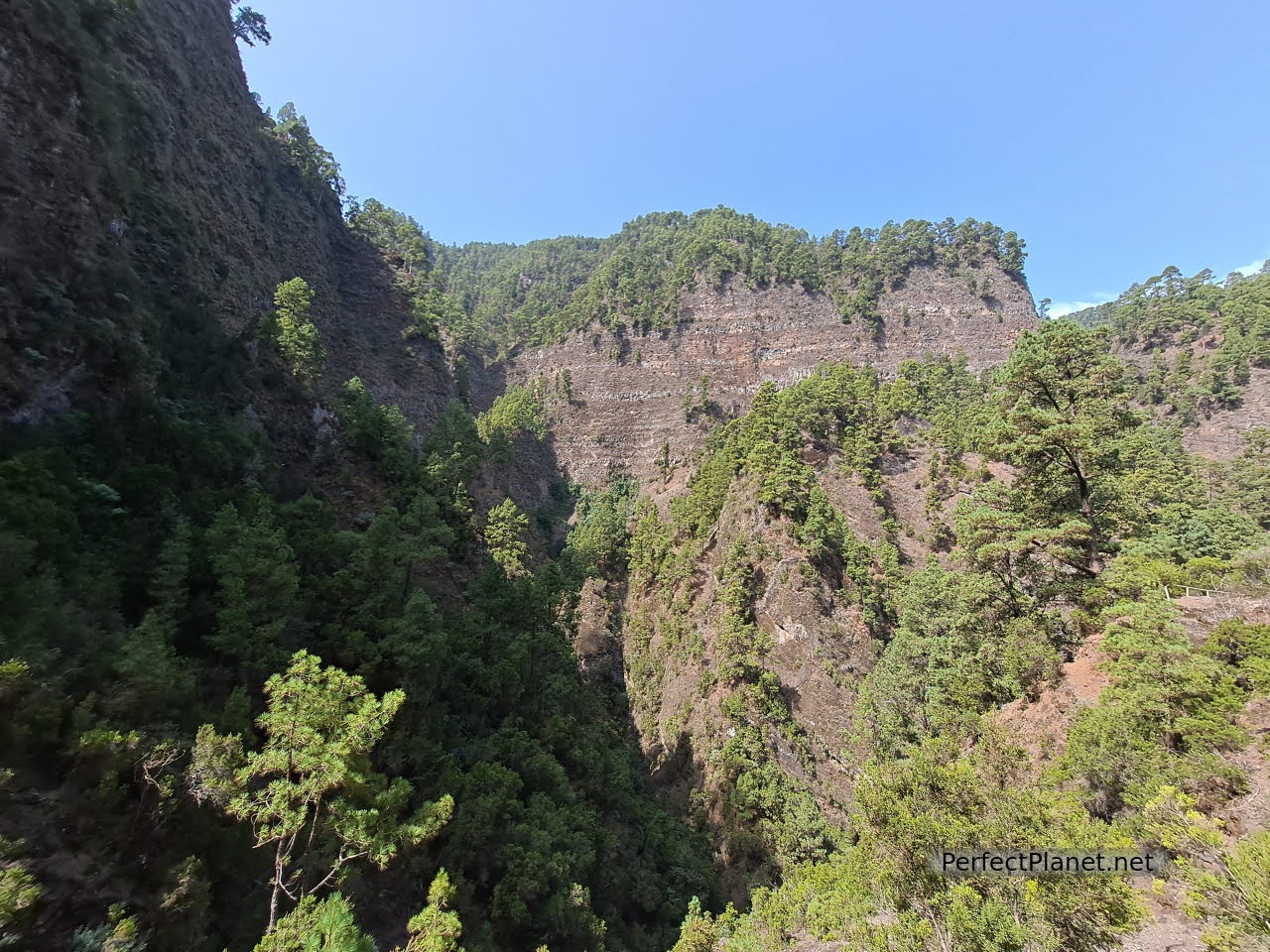 Springs of Marcos and Cordero