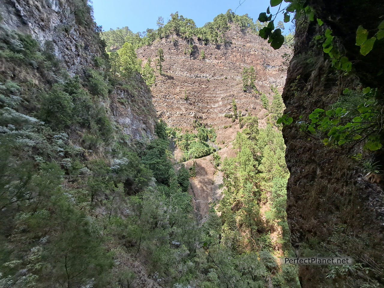 Nacientes de Marcos y Cordero