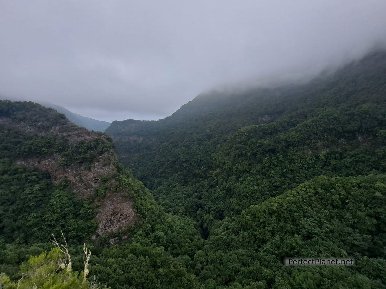 Mirador del Espigón