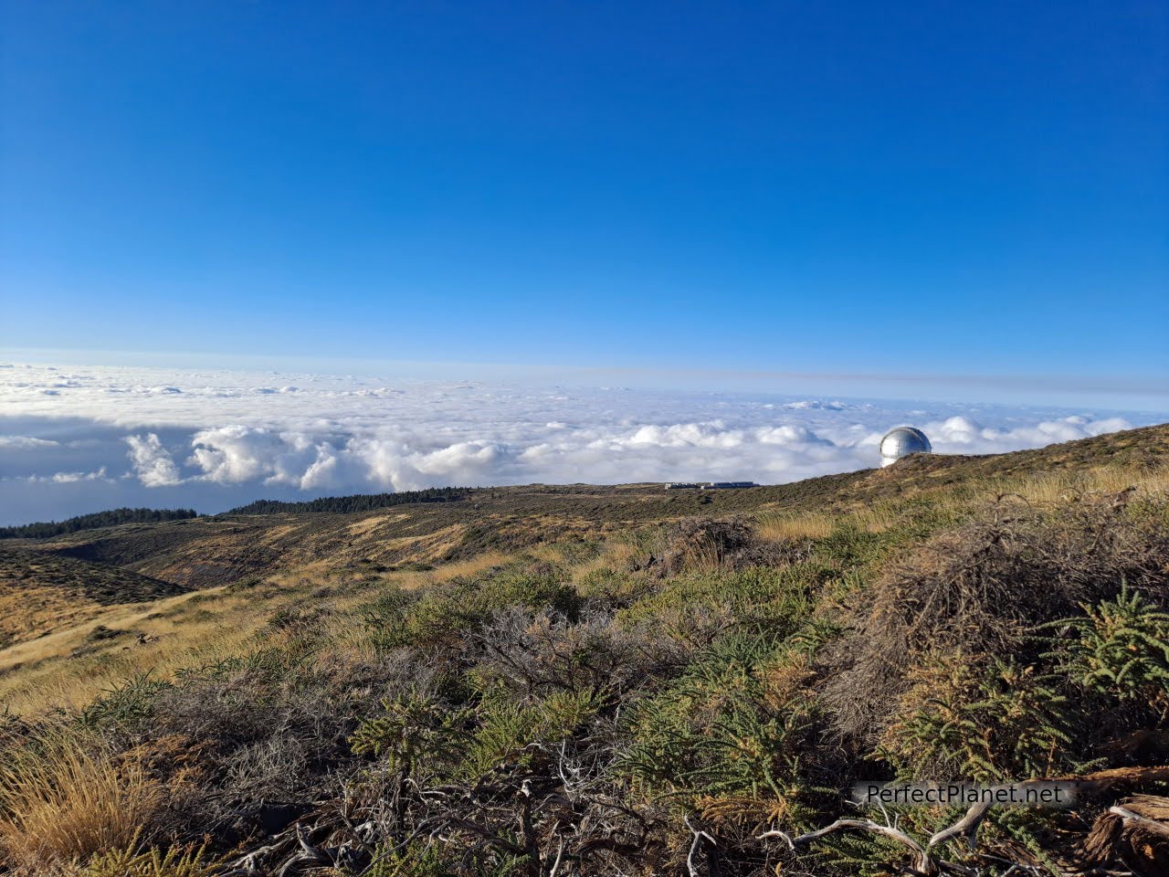 Observatorio