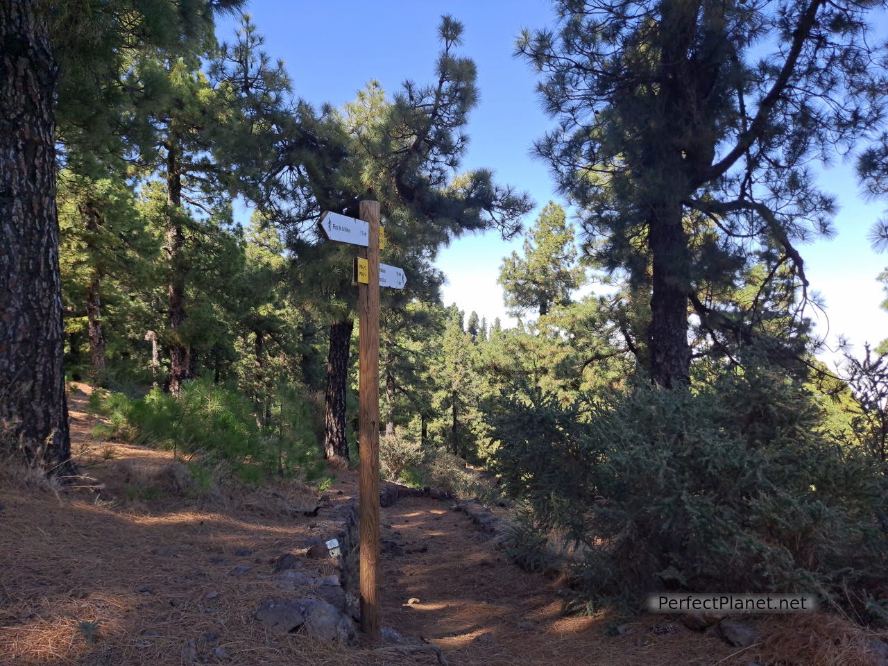 Ascent to Nieve peak