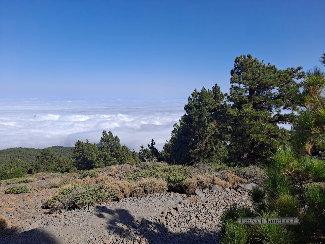 Teide al fondo