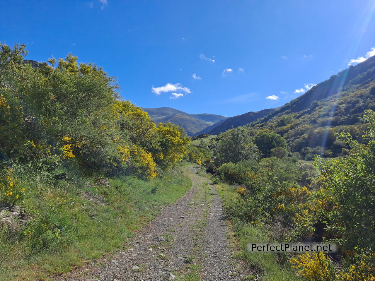 Sendero Lomas