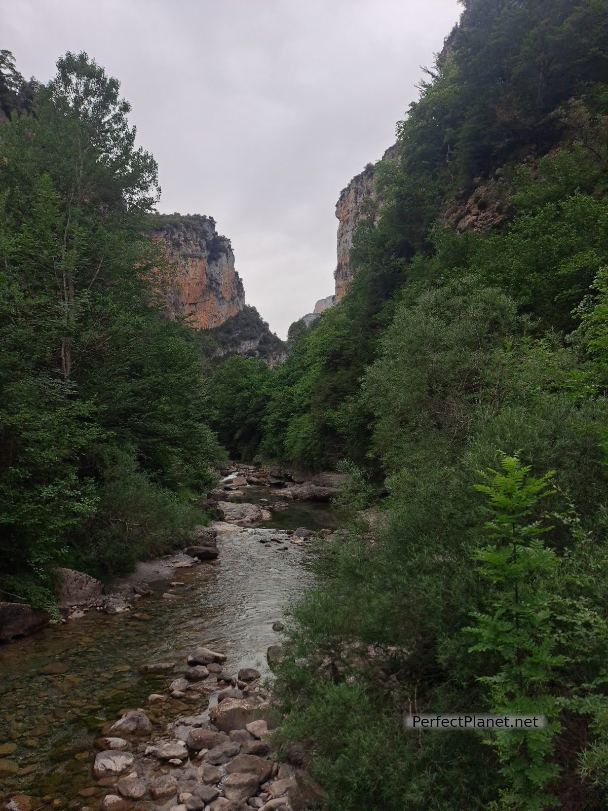 Añisclo canyon