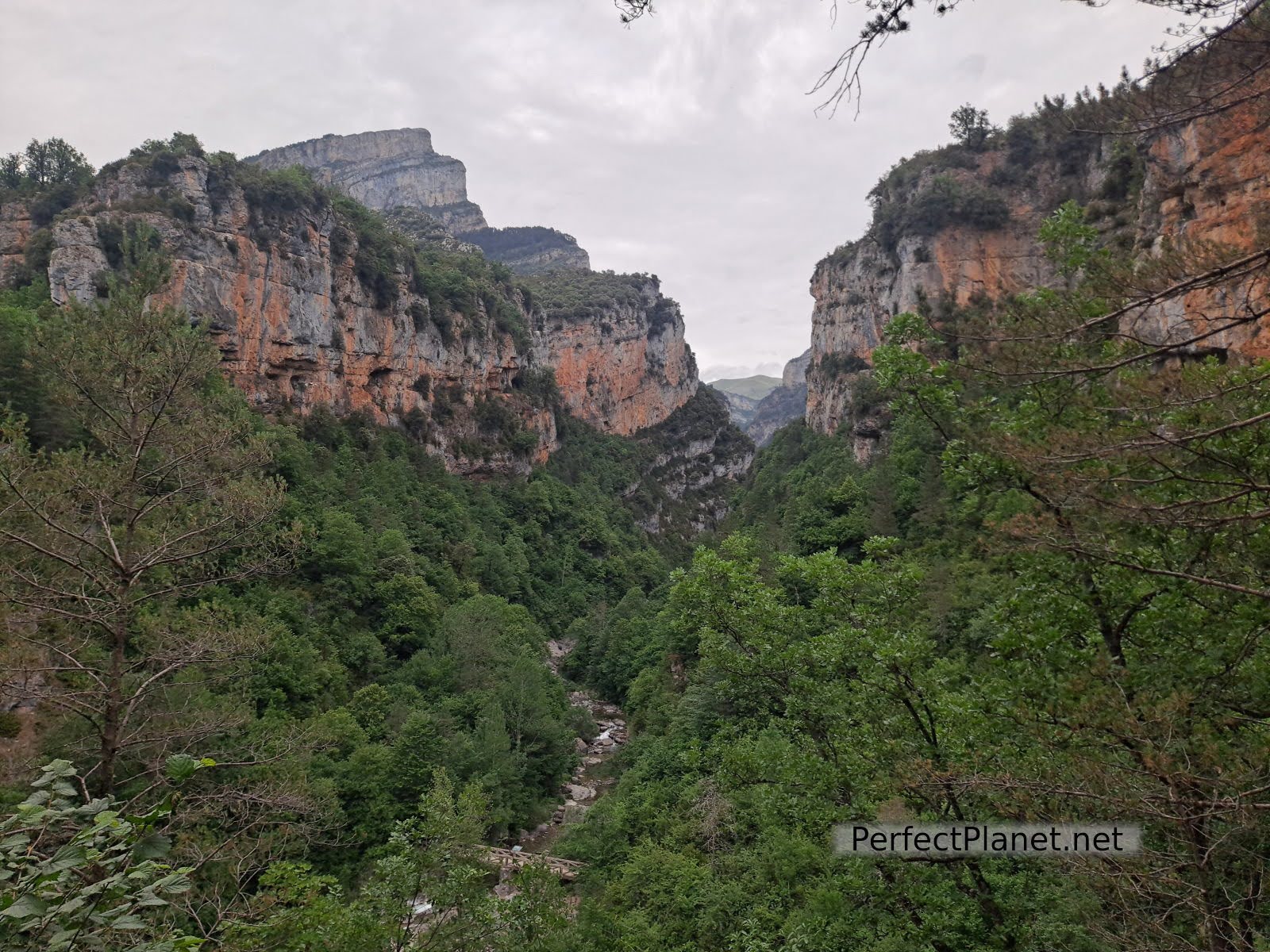 Añisclo canyon