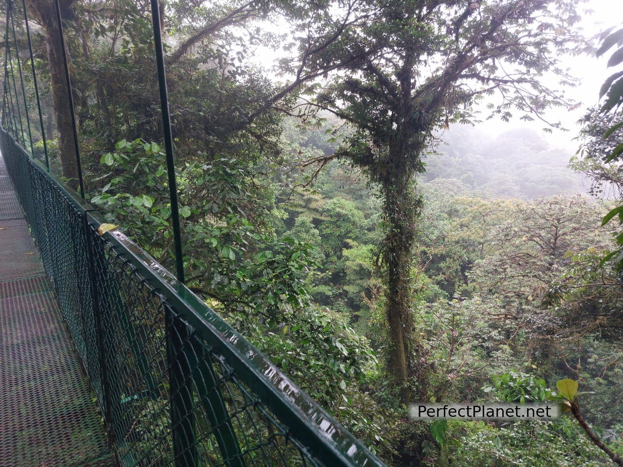 Puente colgante