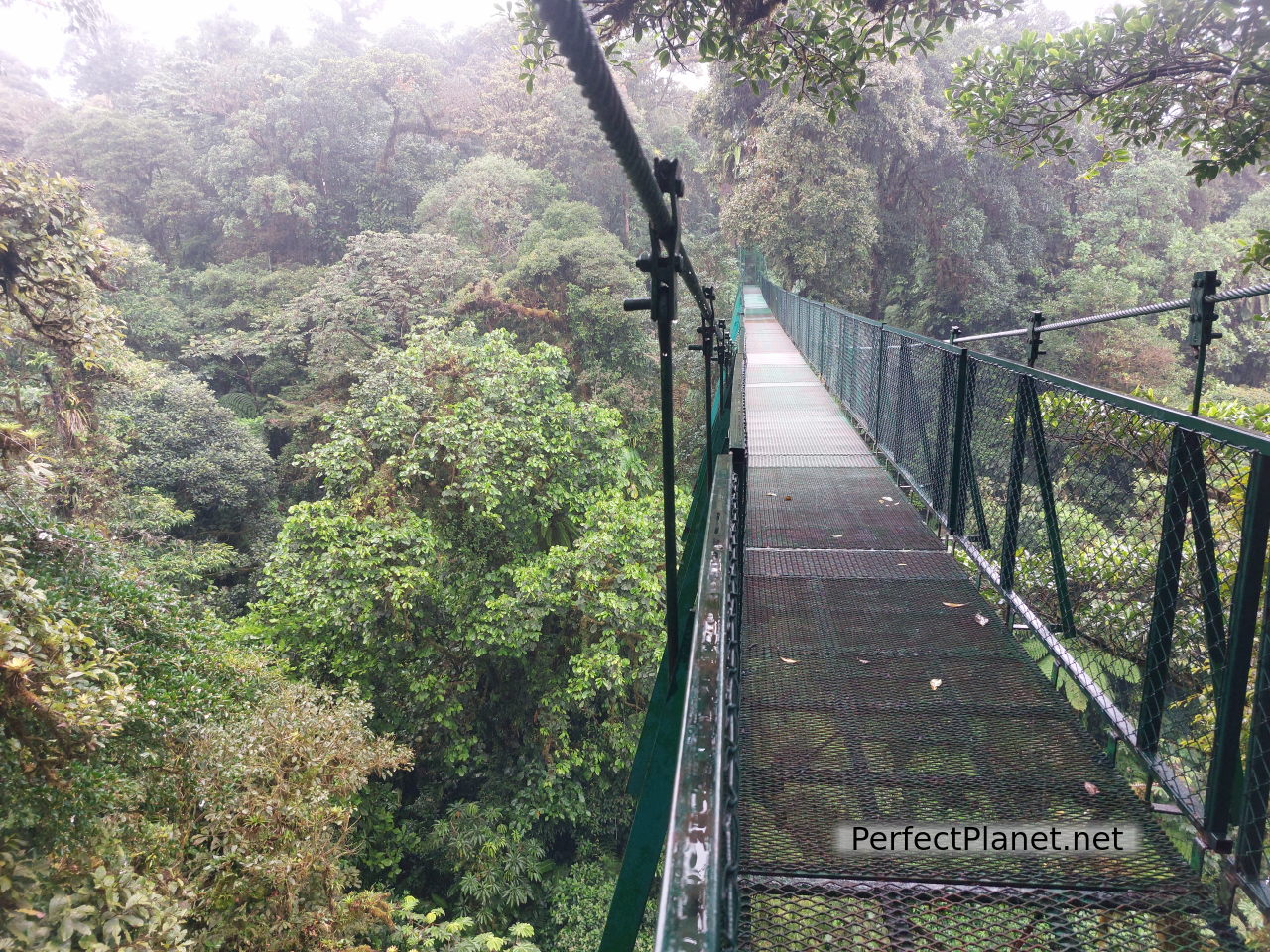 Puente colgante