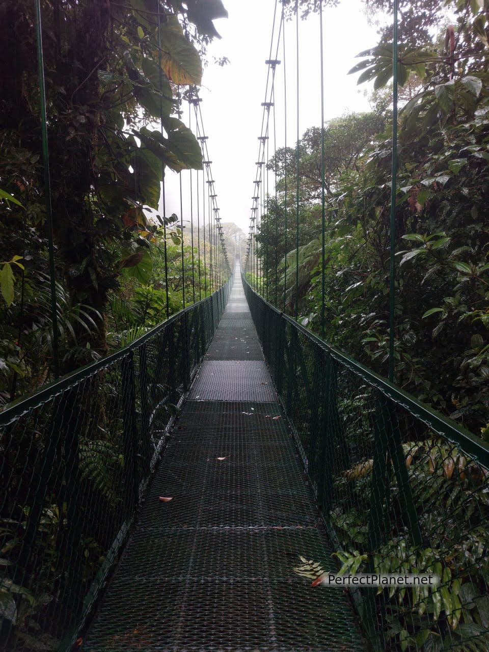 Puente colgante