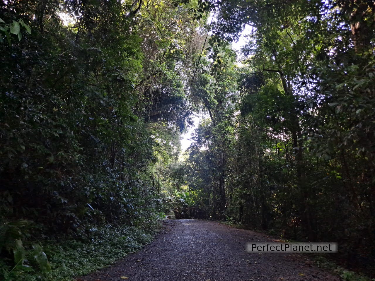 Parque Nacional Manuel Antonio