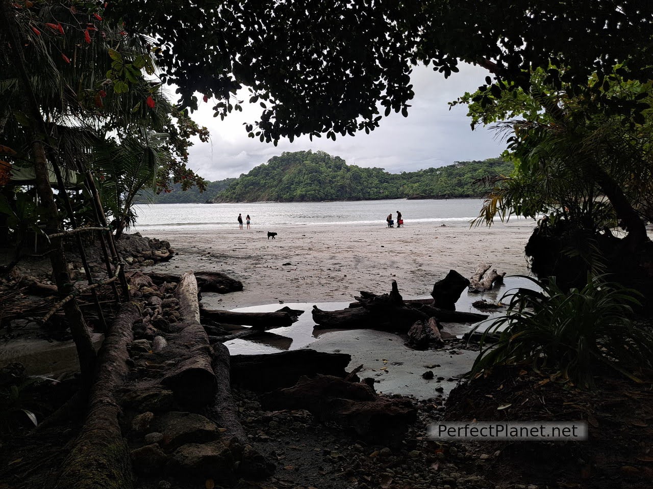 Playa de Biesanz