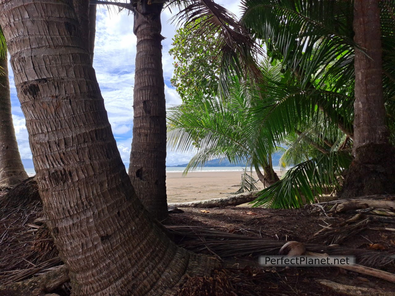 Parque Nacional Marino Ballena