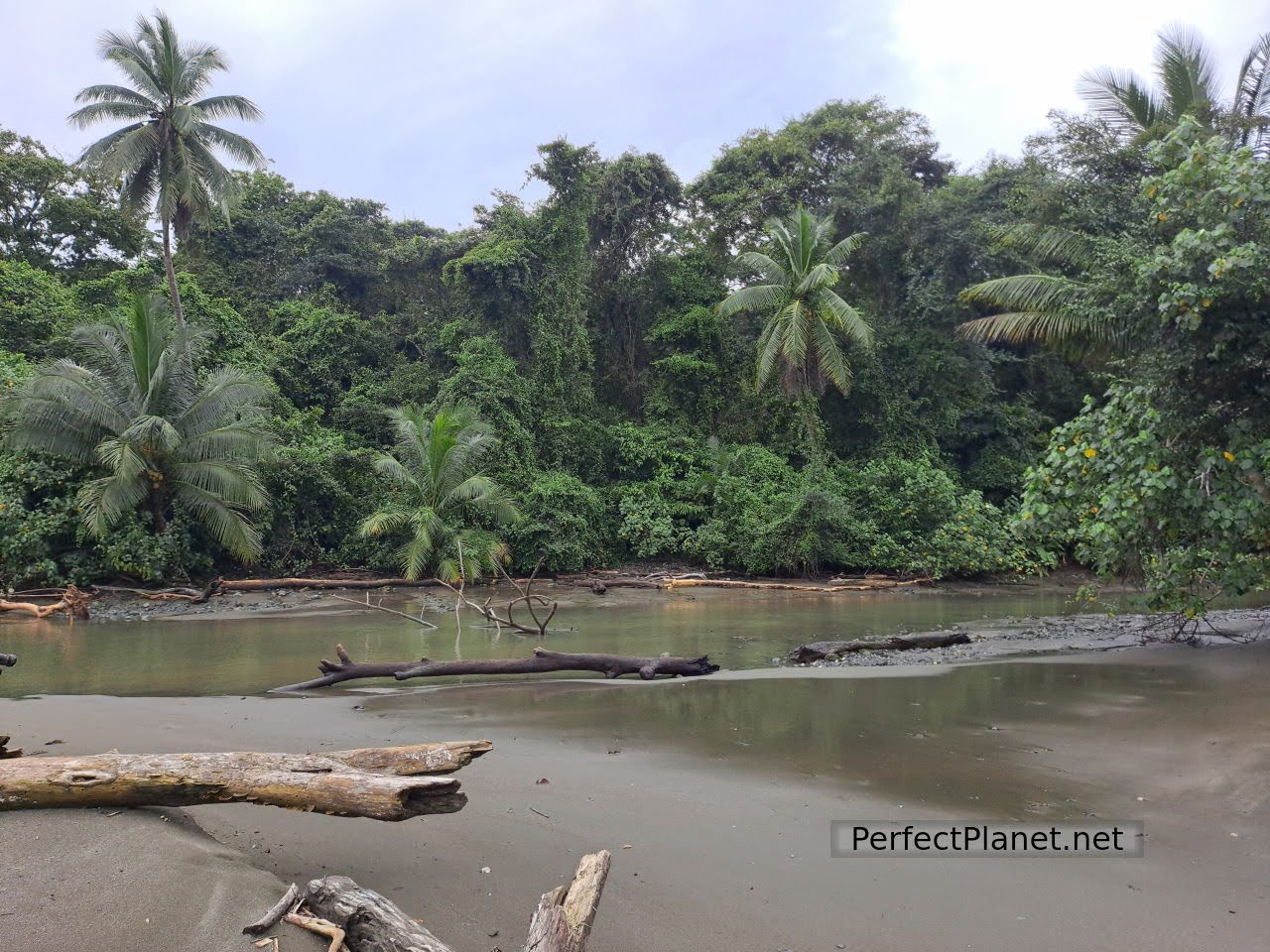 Corcovado National Park