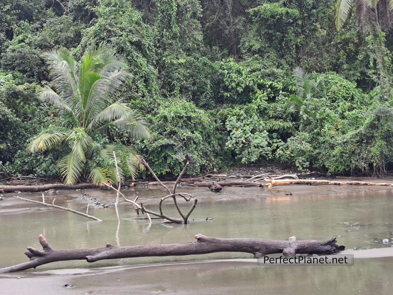 Parque Nacional de Corcovado