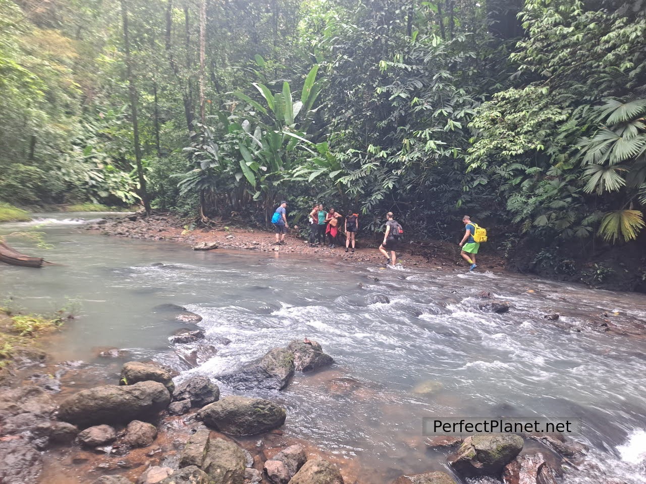 Corcovado National Park