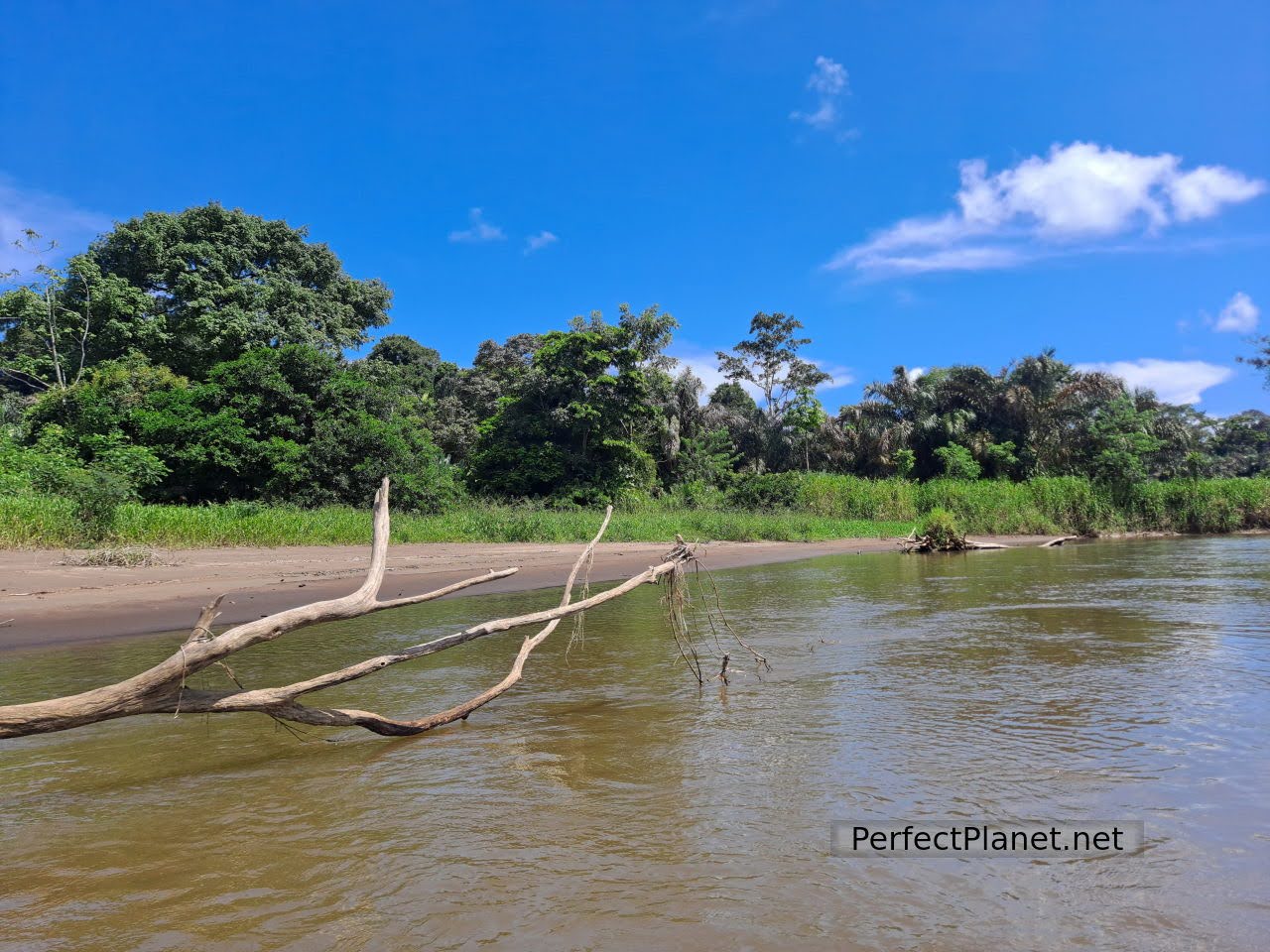 Tortuguero canals