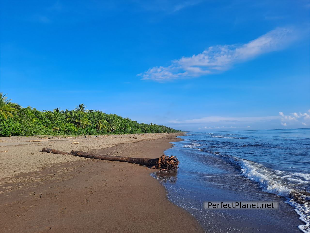 Playa de Tortuguero