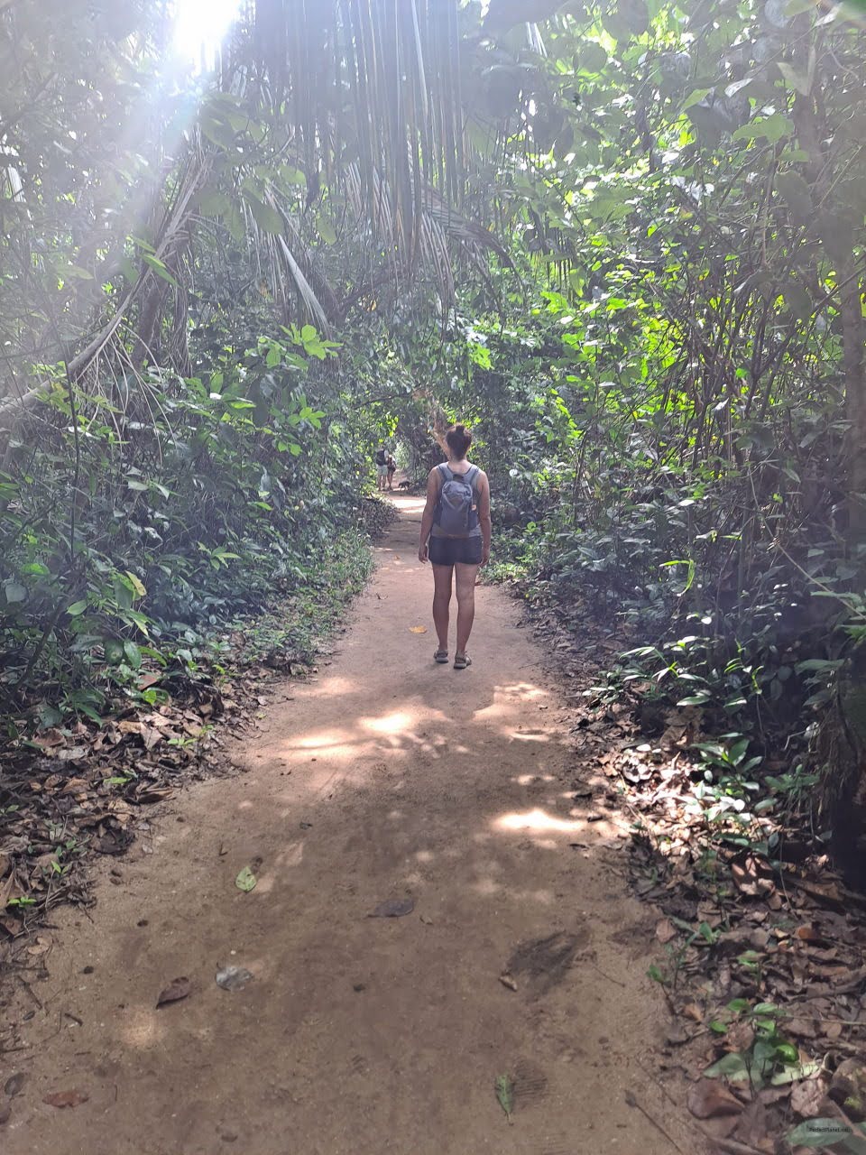 Cahuita National Park