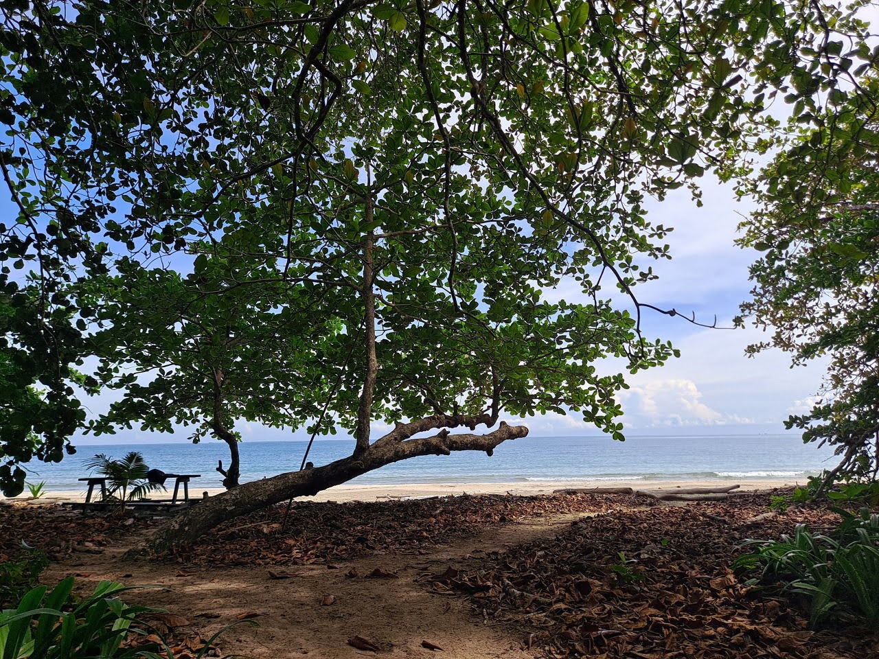 PCahuita National Park