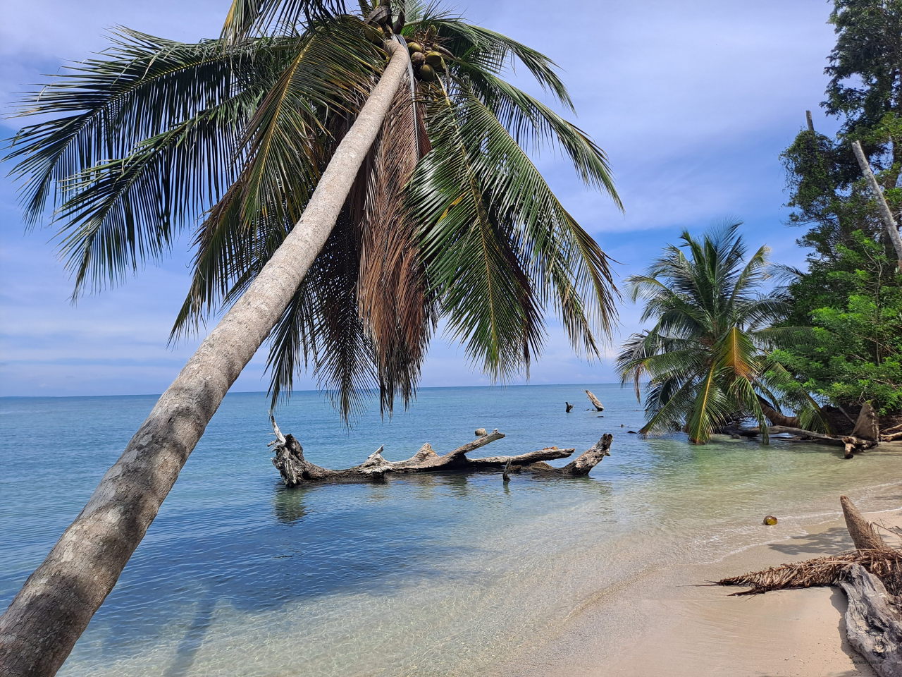 Parque Nacional Cahuita