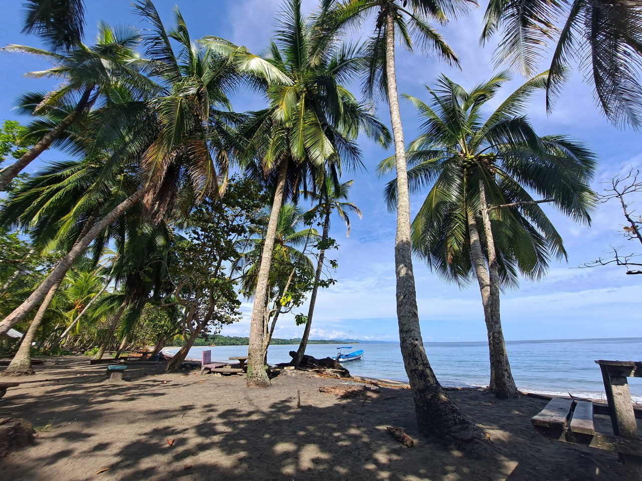 Playa de Manzanillo