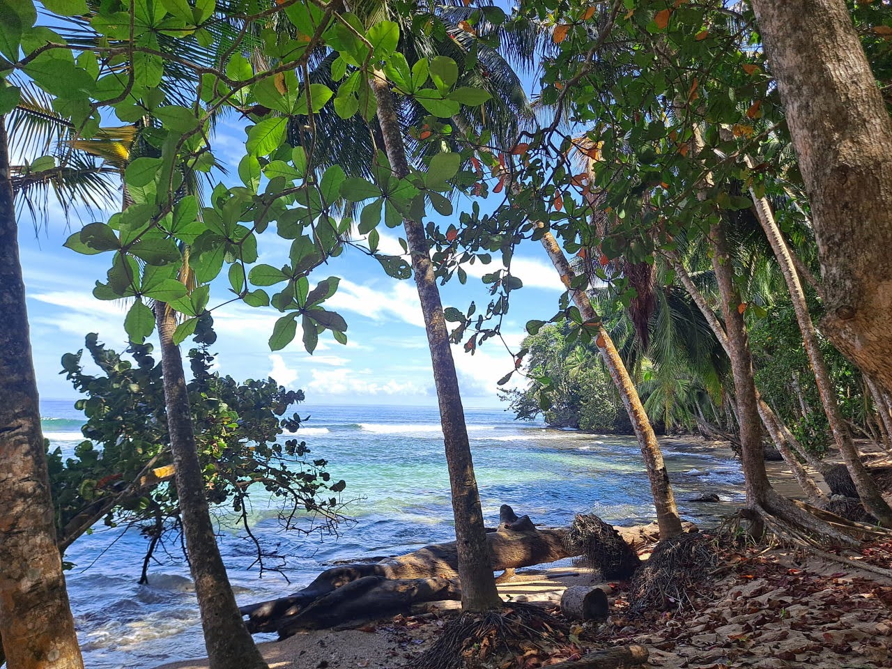 Refugio de vida silvestre Gandoca Manzanillo