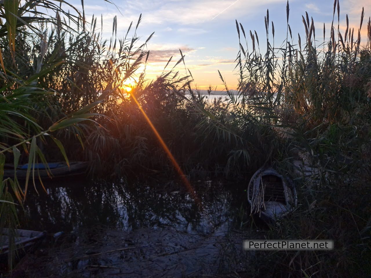 Albufera