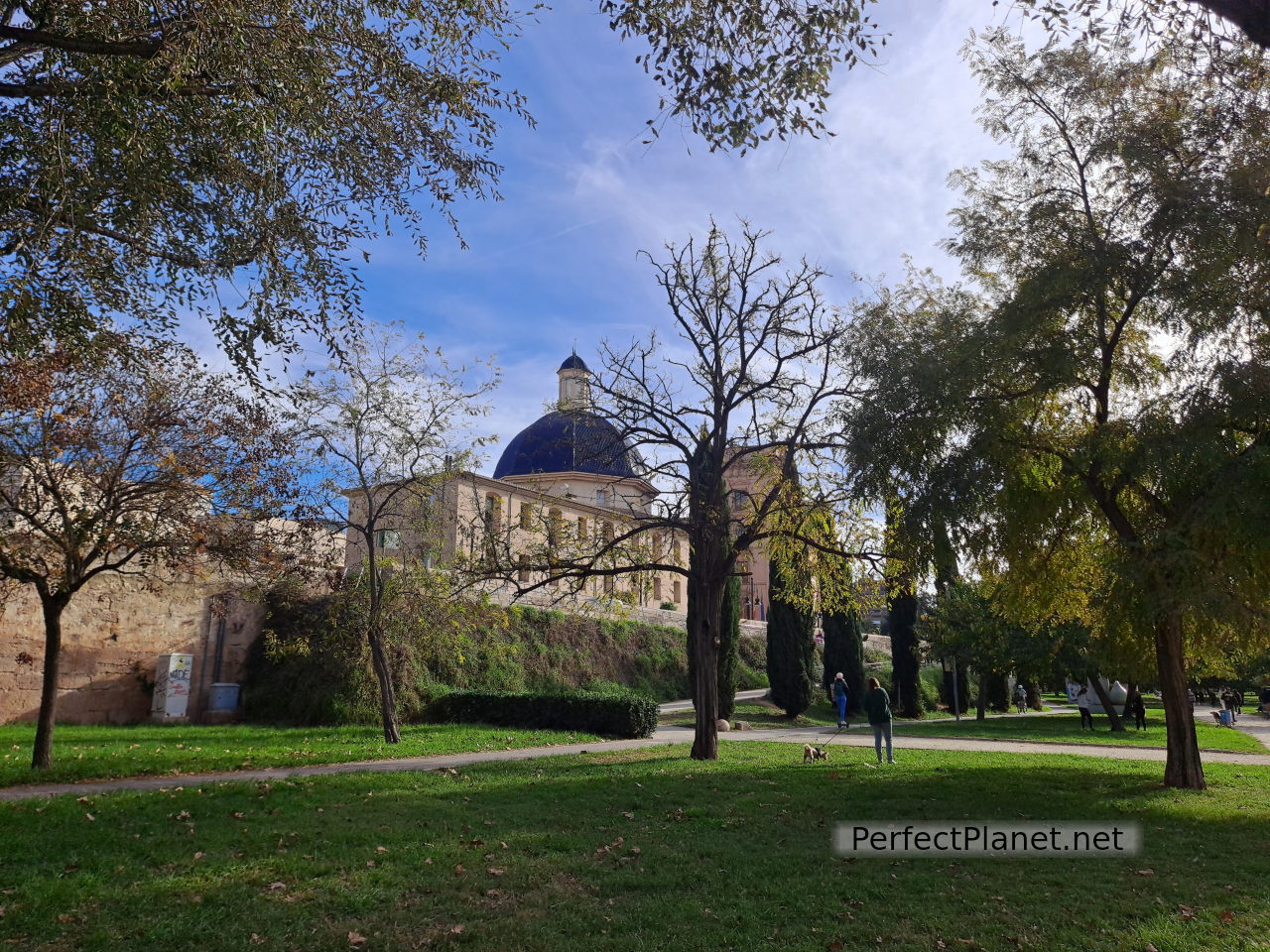 Museo de Bellas Artes