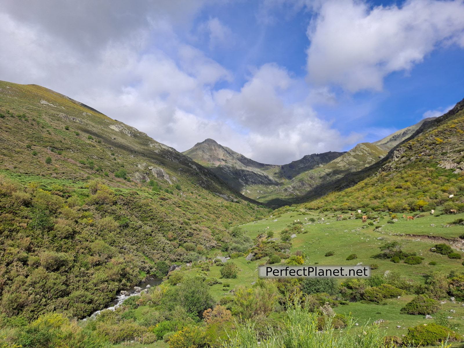 Montaña Palentina