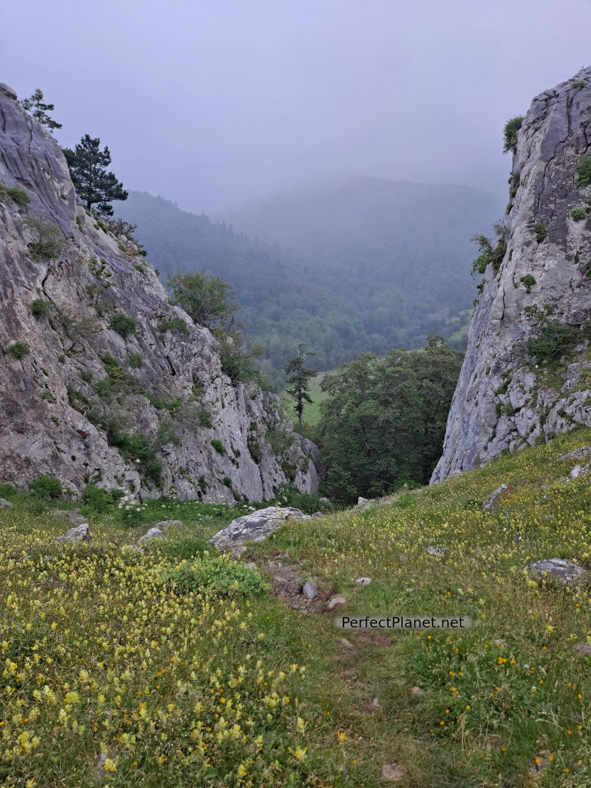 Paso del Caballo