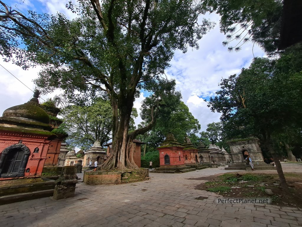 Pashupatinath