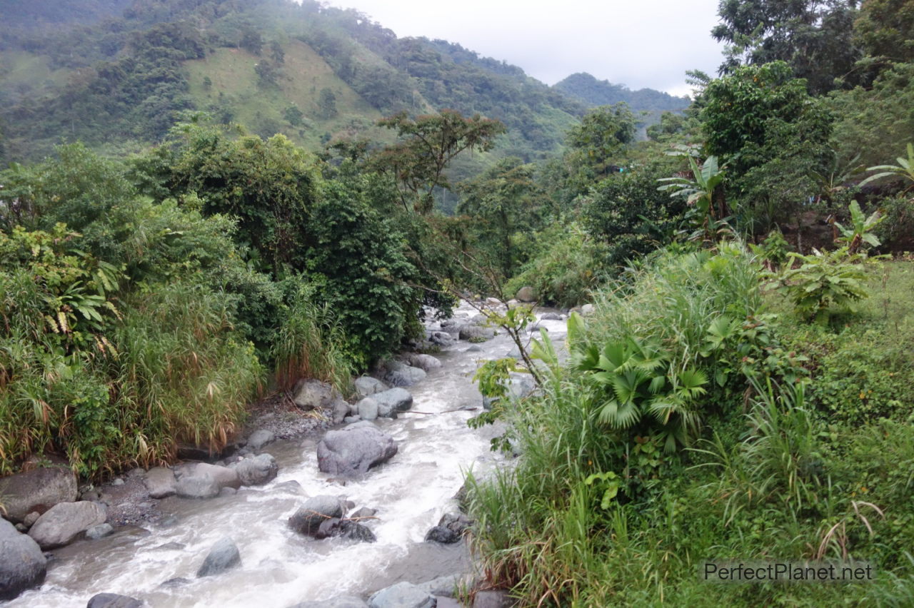 Paisaje de camino a Medellín