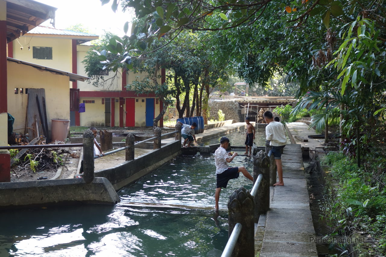 Niños bañándose