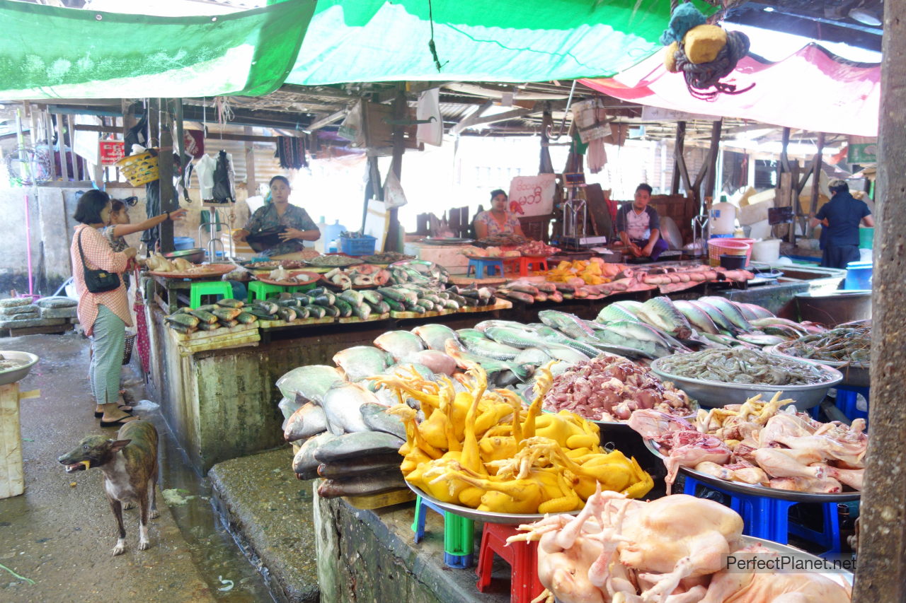 Hpa An market